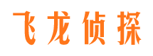 河北市场调查